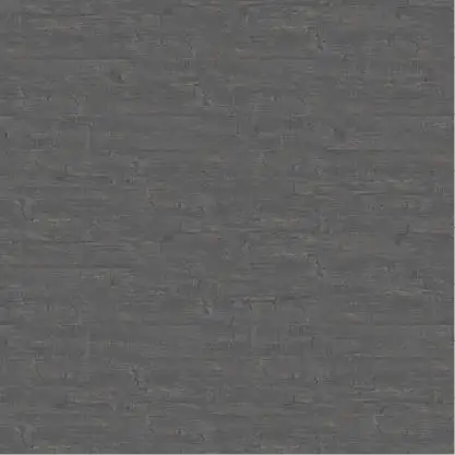 CarbonPlank