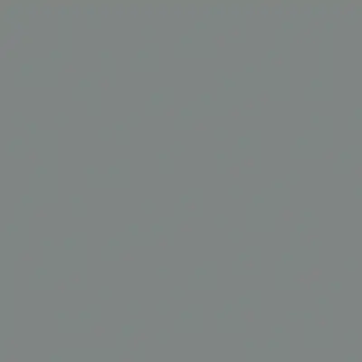 daytona grey